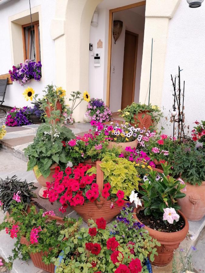 Gästehaus Alpenblick Mutters Exterior foto