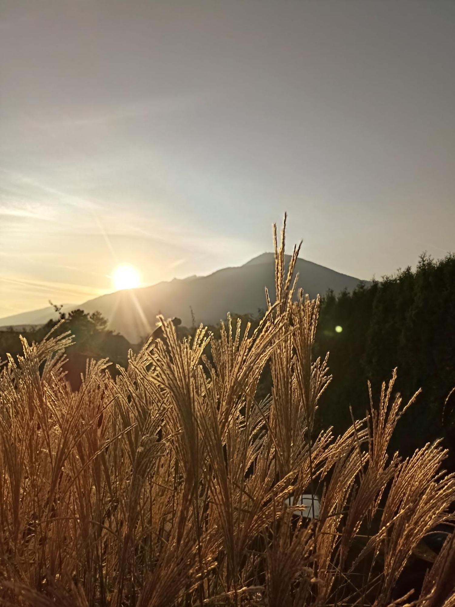 Gästehaus Alpenblick Mutters Exterior foto